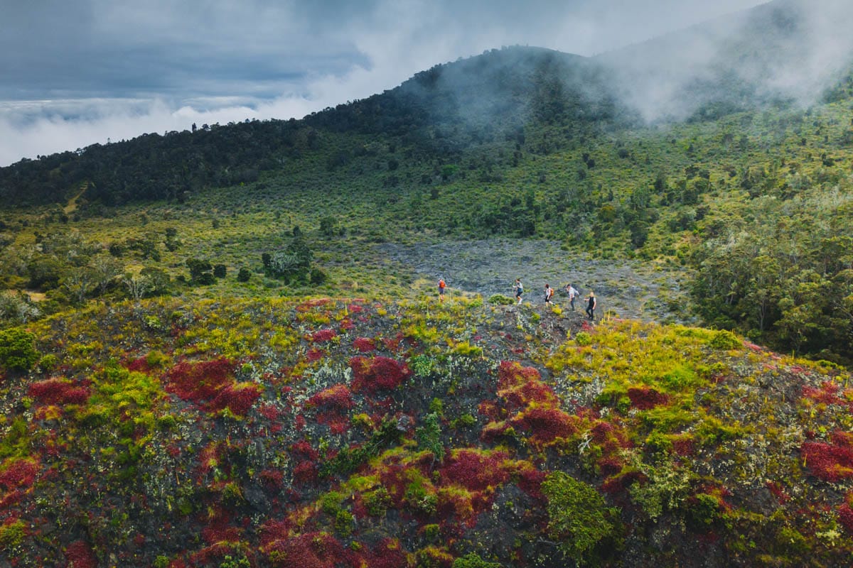 Hidden Crater Hike (Cloud Forests + Lava Tube)