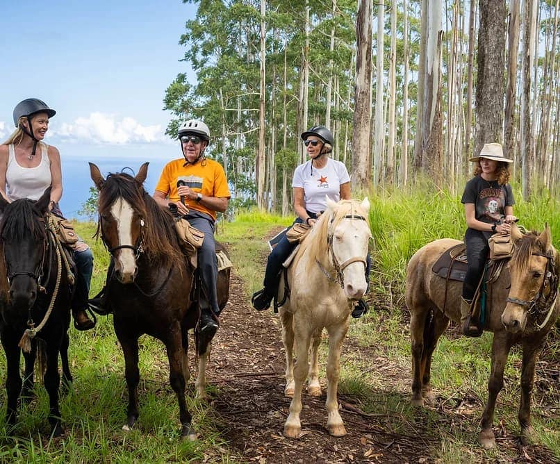 Hamakua Coast Horseback Riding Tour With Pizza Lunch 3 Hours 159 Hamakua Coast Horseback Riding Tour With Pizza Lunch 3 Hours 159