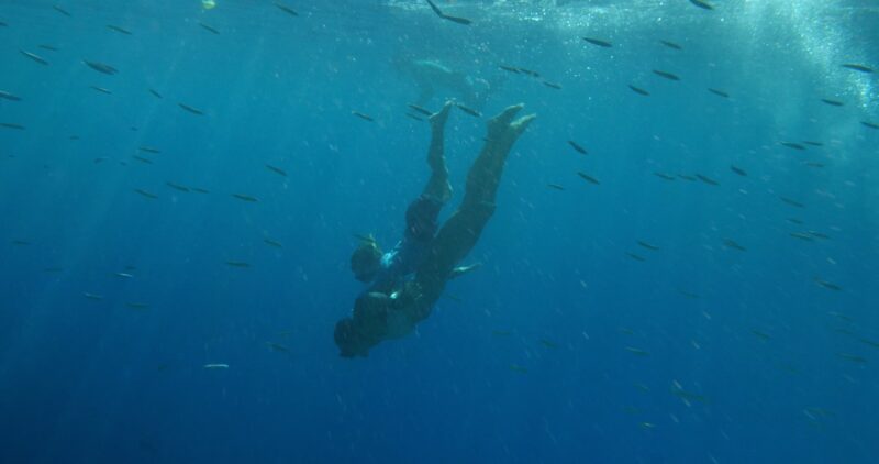 A mother and child snorkeling together over reef fish in Kealakekua Bay