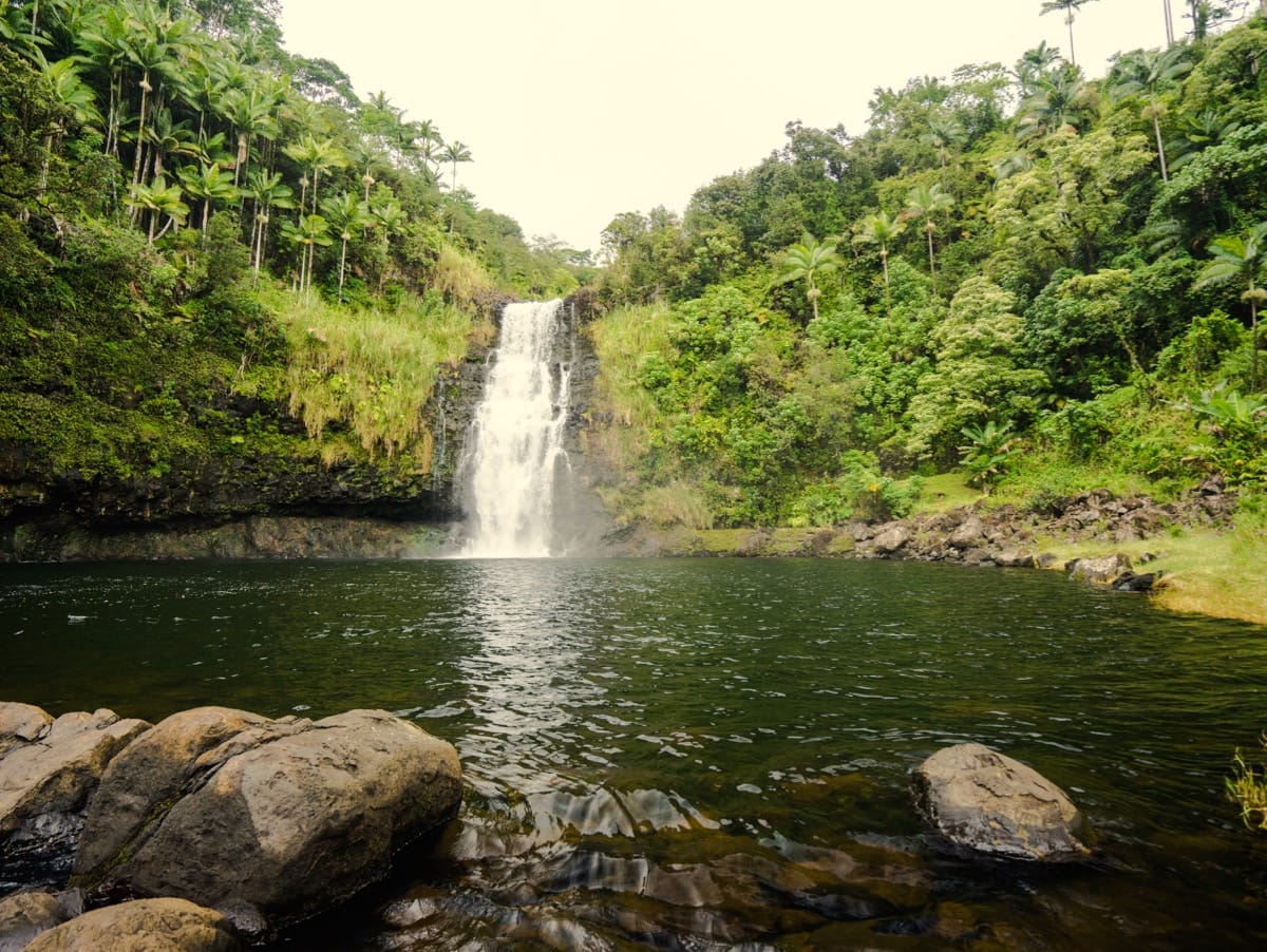 Hilo Tropical Waterfalls smallgroup tour (4 hours, from 149)