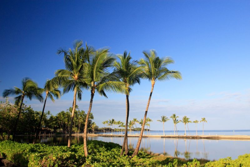 Kuualii fishpond at "A Bay"