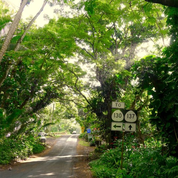 The Kapoho-Kalapana road