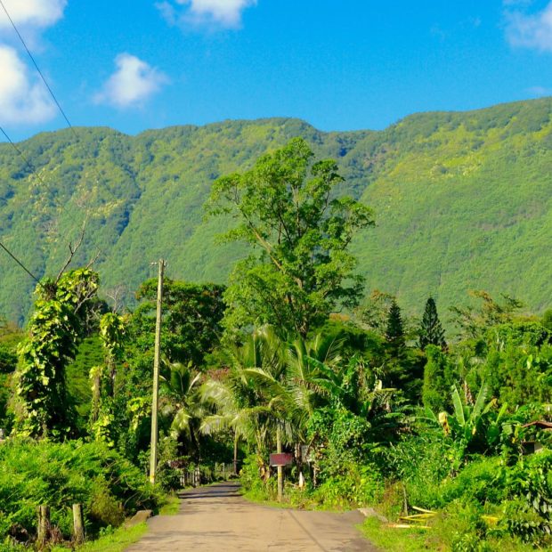 Waipi’o Valley