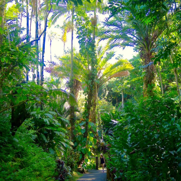 Hawaii Tropical Botanical Gardens