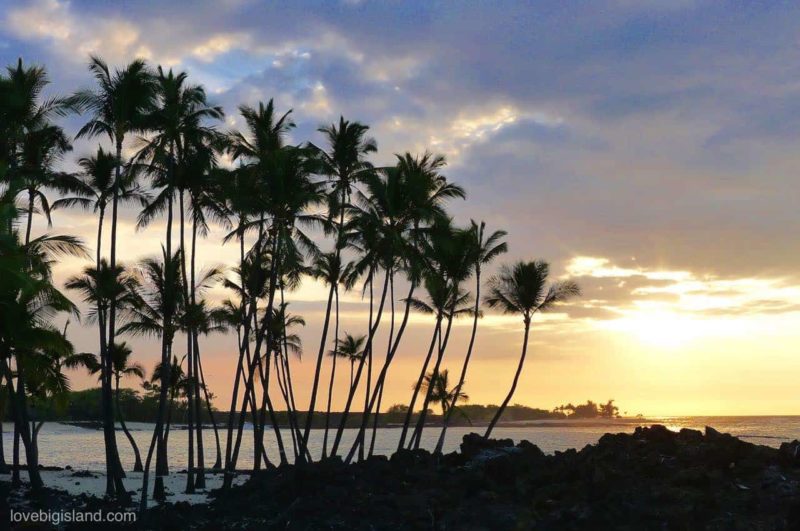 big island, beach, sunset