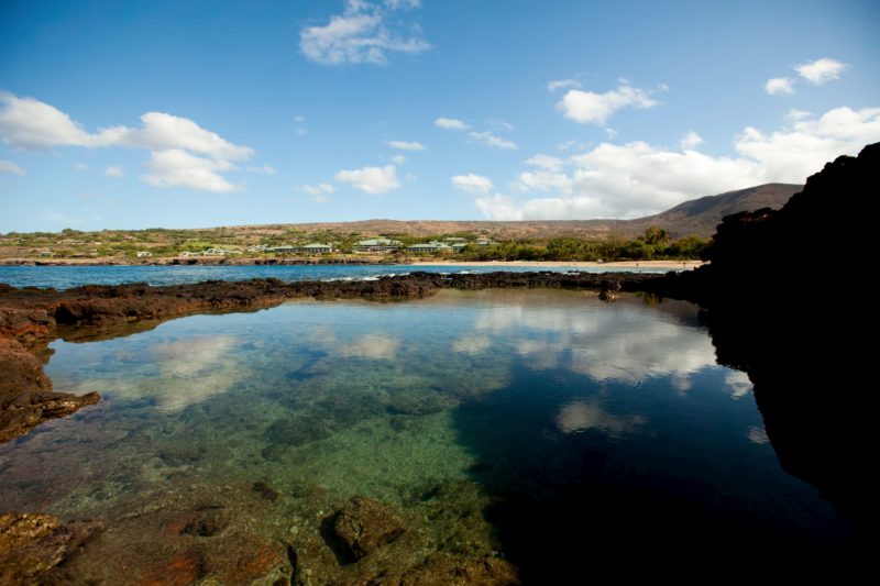 Tidepool at Mānele bay