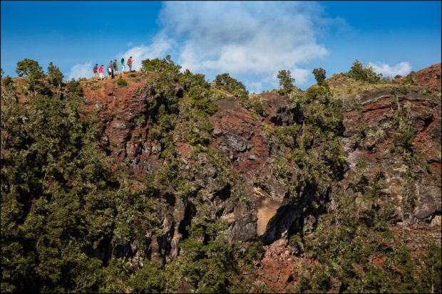 Native dryland forest on Hualalai
