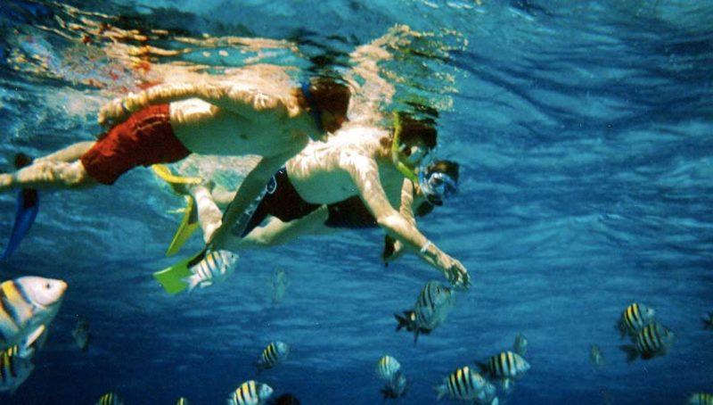 Snorkelers watching fish