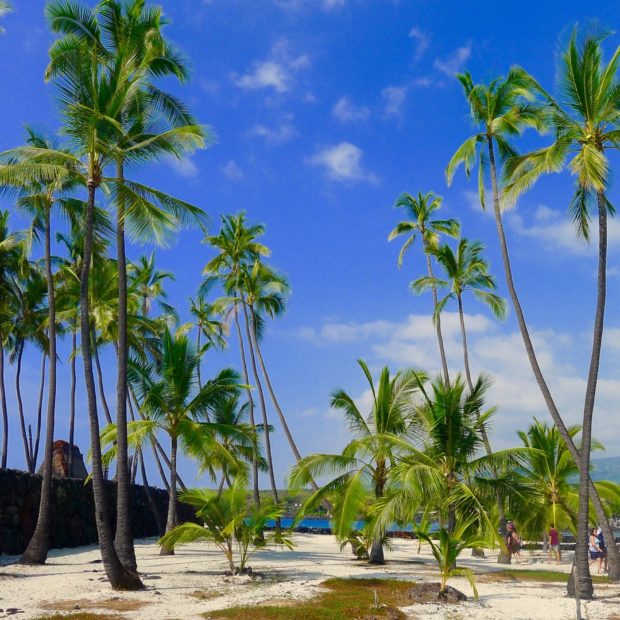 Puʻuhonua o Hōnaunau National Historical Park