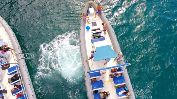 The custom-built, rigid-hull inflatables (RHIB’s) were designed for getting you to the Napali Coast in record time from Hanalei. Image: Holoholo Charters.