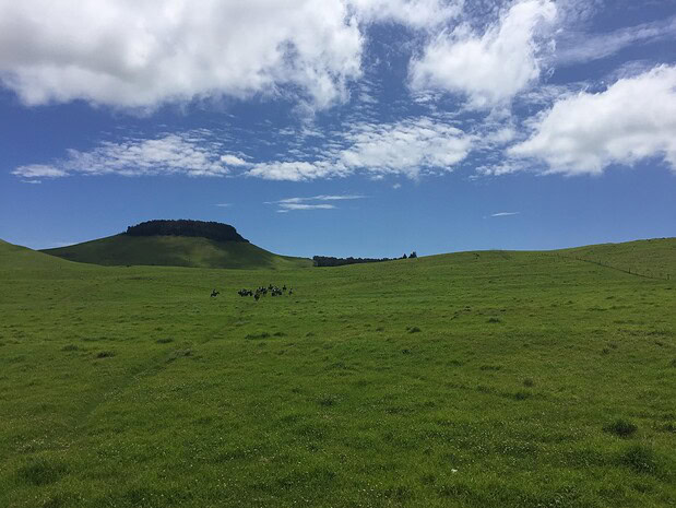 Wide shot of group spread across green pasture, guides alongside