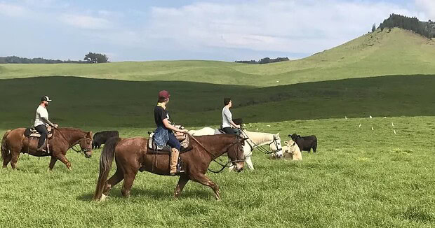 Two or three riders spread across open pasture in last light, silhouette-style