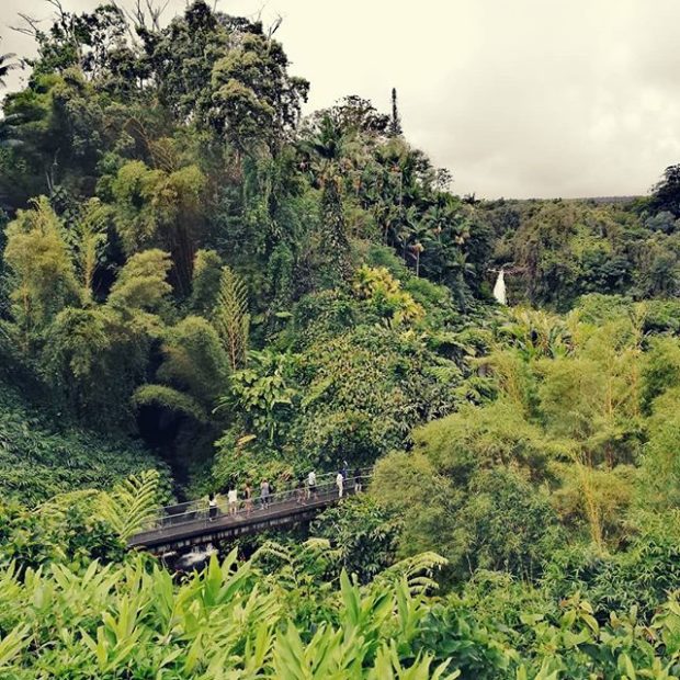 ‘Akaka Falls