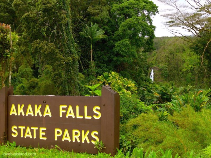 akaka falls, big island, waterfall