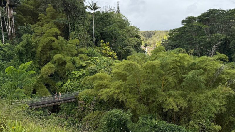 ʻAkaka Falls in the distance from the parking lot, with the loop trail return bridge at lower left