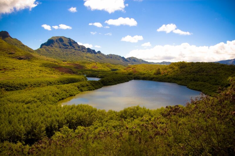 The Alekoko (or "Menehune") fishpond on Kauaʻi