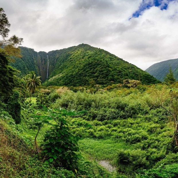 Waipi’o Valley