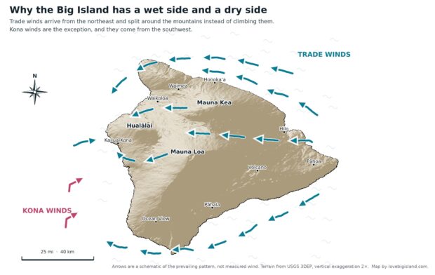 Relief map of the Big Island showing trade winds arriving from the northeast and splitting around Mauna Kea and Mauna Loa, with Kona winds arriving from the southwest