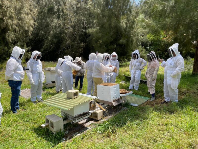 beekeeping tour in progress