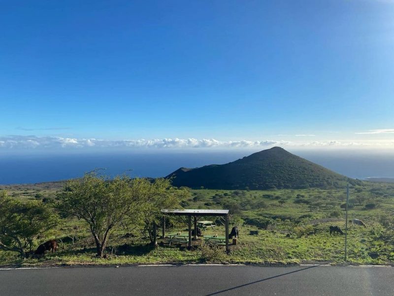 The view from Bullys Burgers on Maui