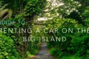 Rental Cars in Kailua Kona, the Kona Airport, or the Kohala Resorts