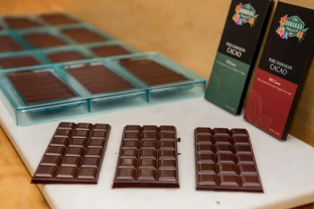 Award-winning single-origin chocolate bars from Honokaa Chocolate Co. cacao farm tour tasting