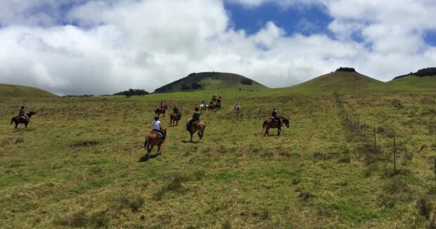 Wide shot of group spread across green pasture, guides alongside