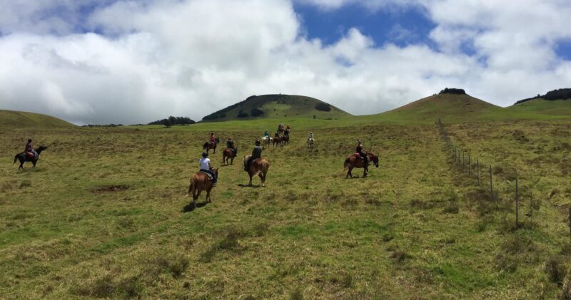 Wide shot of group spread across green pasture, guides alongside