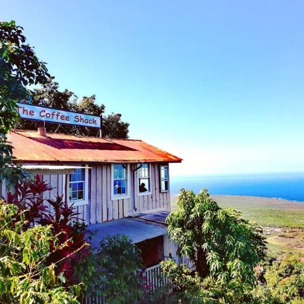The Coffee Shack