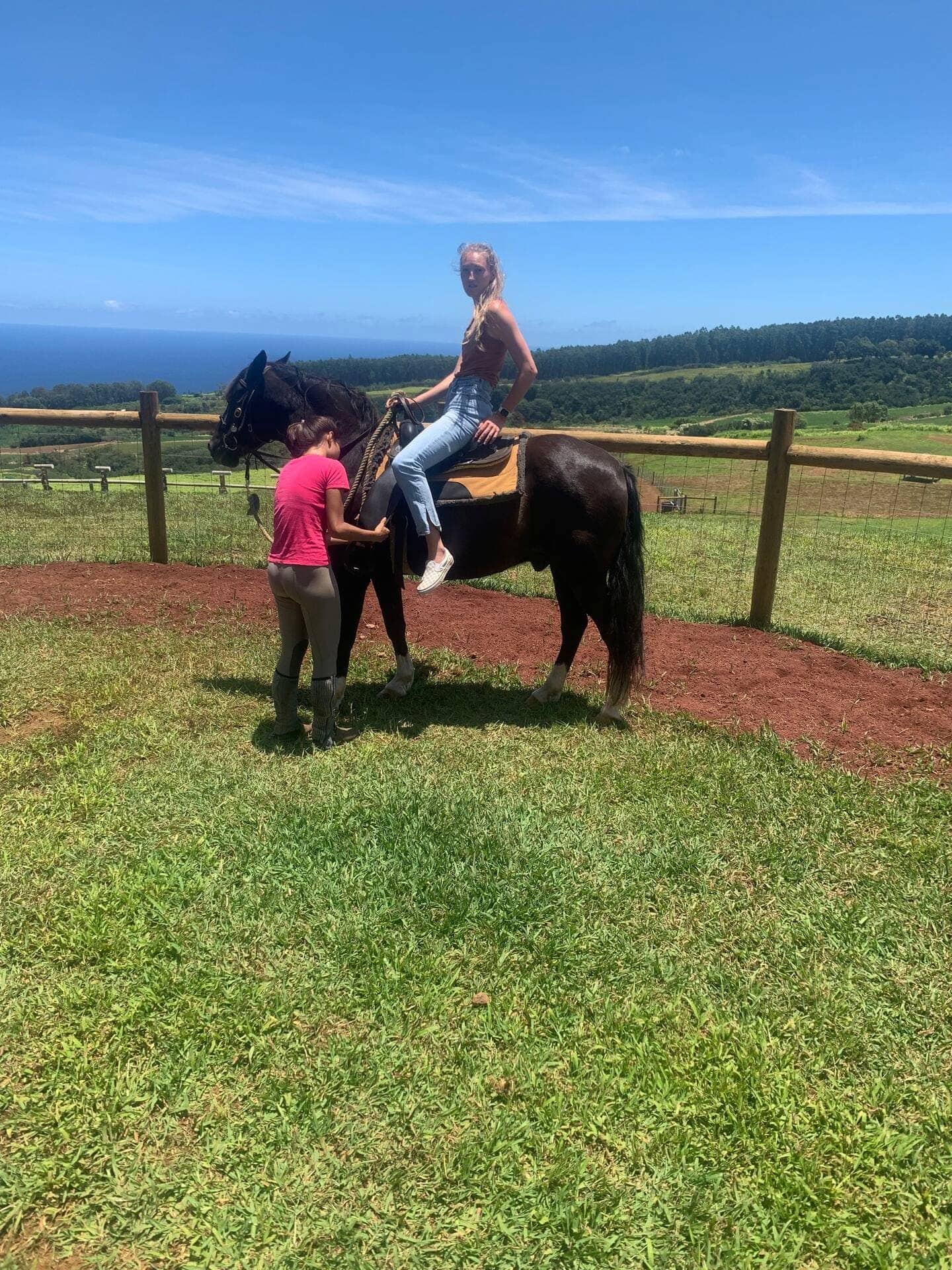 Hamakua Coast Horseback Riding Tour With Pizza Lunch 3 Hours 159 Hamakua Coast Horseback Riding Tour With Pizza Lunch 3 Hours 159