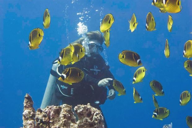 diver with longnose butterflyfish