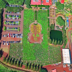 The Dole Plantation Pineapple Maze