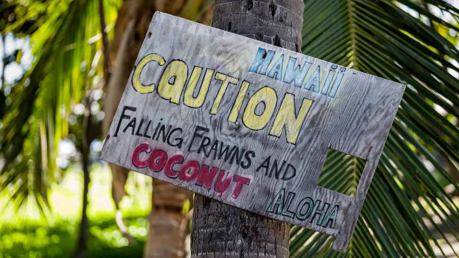 12 Common Tourist Mistakes in Hawaiʻi (and How to Avoid Them)
