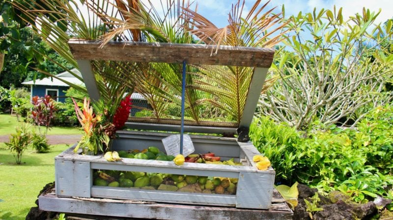 Self-service fruit stand along the Road to Hana