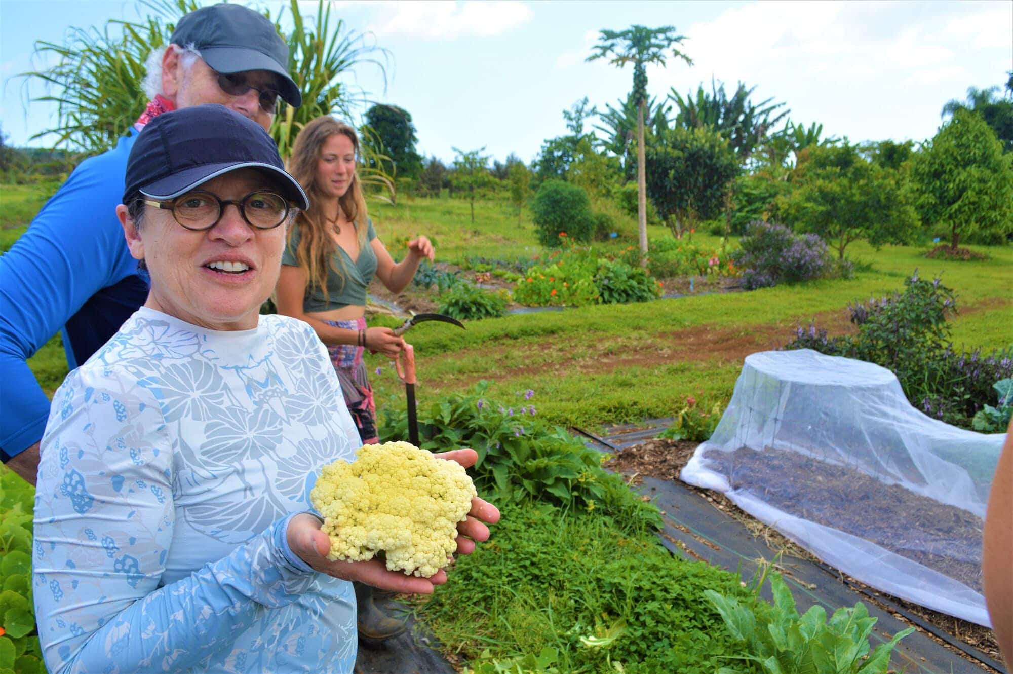 Farm-to-Table Cooking Class + Lunch at Kulaniapia Farms