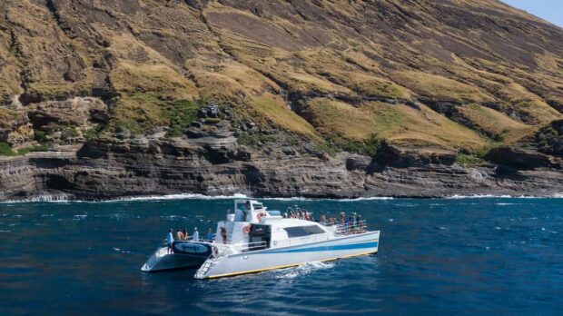 Holoholo is a powerful, sleek, and comfortable, 65-foot power catamaran. Image: Holoholo Charters.