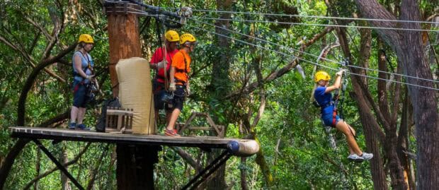 Guides and guests on a tree platform as one rider leaves on the zipline