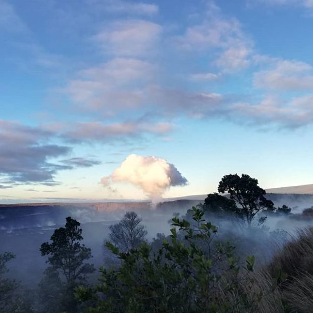 Steam Vents