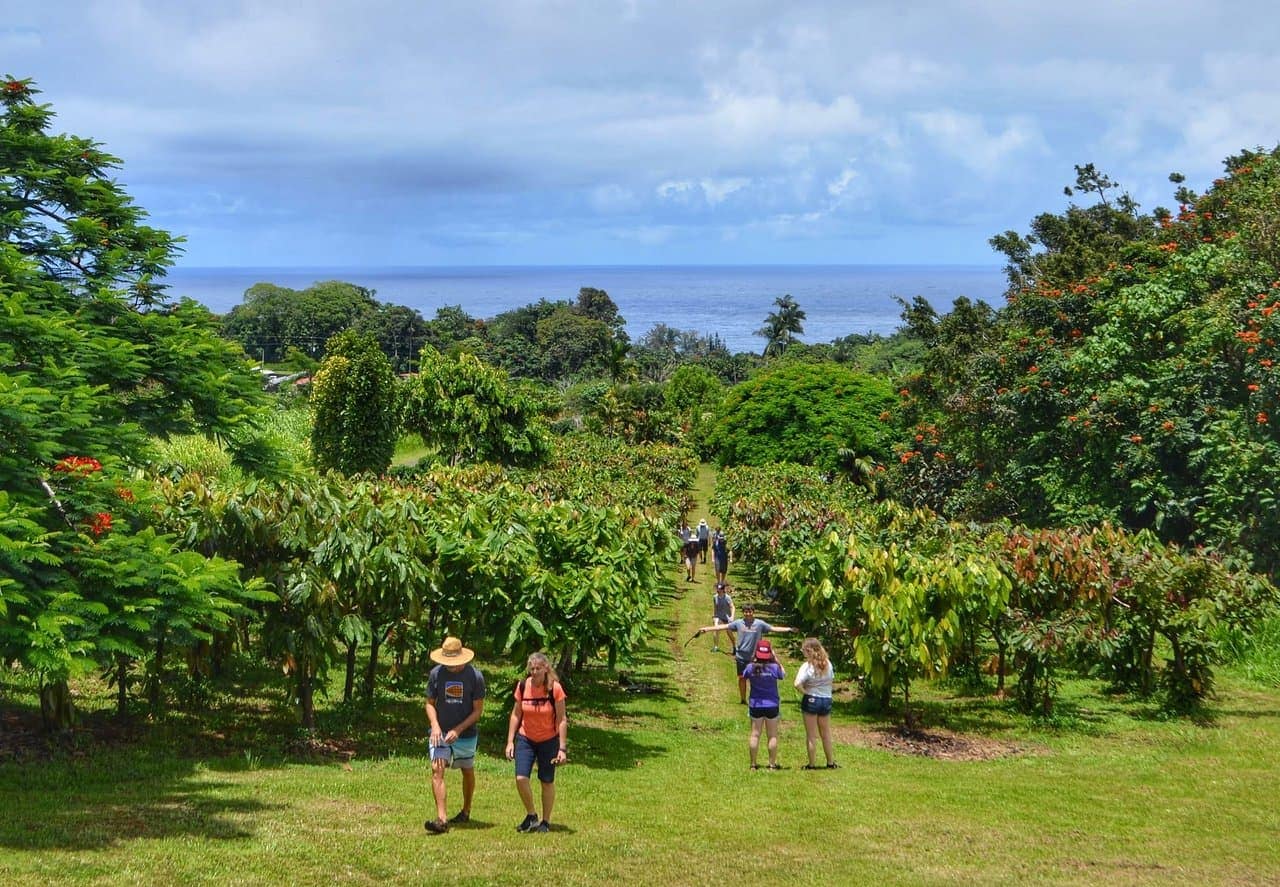 farm tours big island