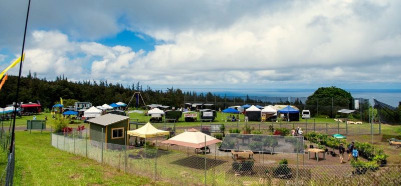 hamakua harvest farmers market, overview, big island, hawaii