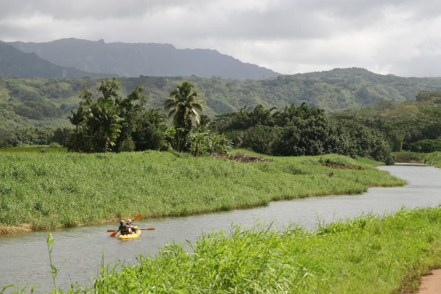 A couple kayaking the Hanalei River