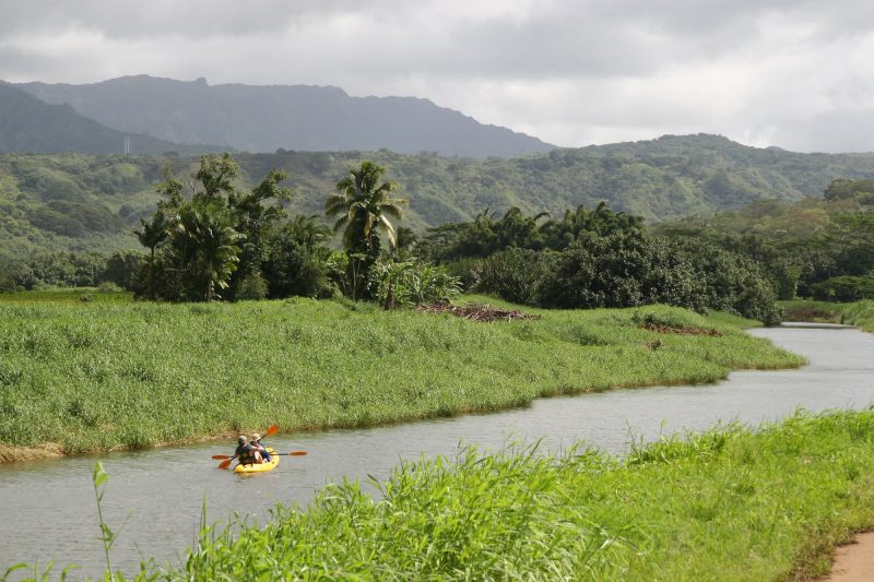 A couple kayaking the Hanalei River