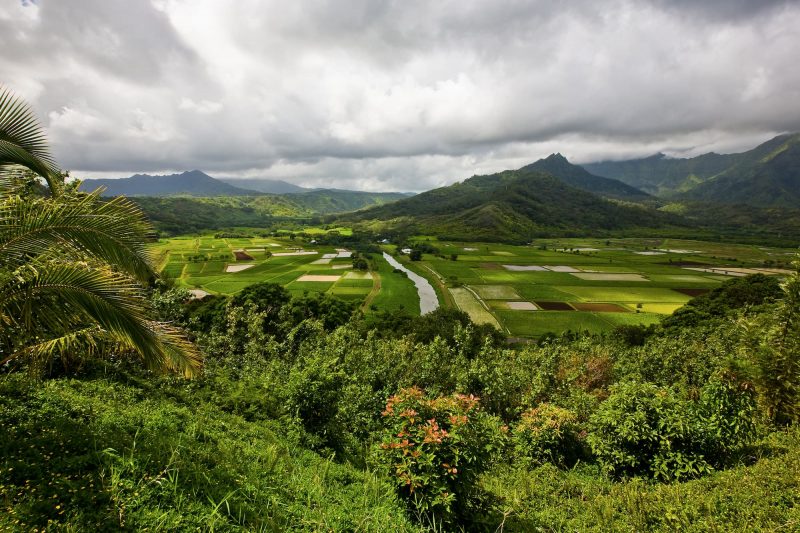 View from the Hanalei Valley Lookout