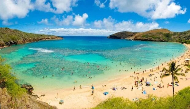 Hanauma Bay from the rim overlook, reef shelf visible through clear water and swimmers along the crescent beach