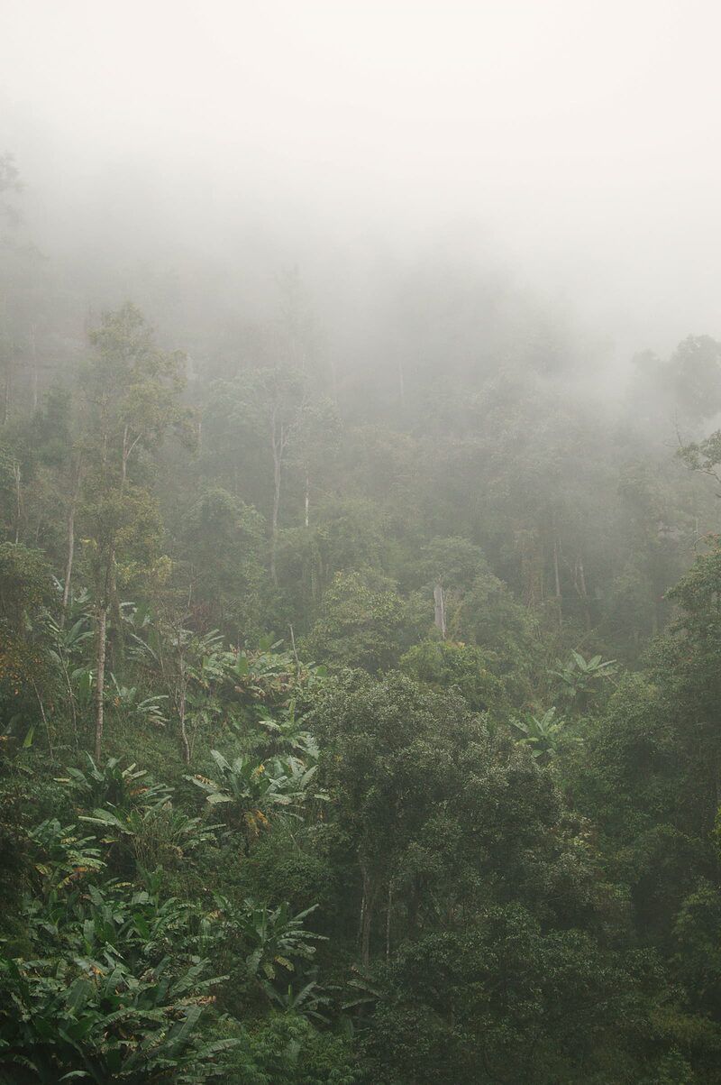 There are positives to a rainy day on Kauaʻi – waterfalls are bigger, tropical rain can feel warm and soothing, and rain is the ideal excuse to get off the beach and go find some fun rainy day activities. Photo by Hannah Tims on Unsplash 