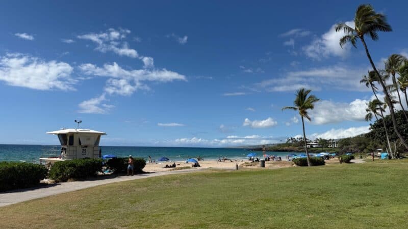 Grass lawn and lifeguard tower above Hāpuna Beach, with umbrellas on the white sand and palms along the shore