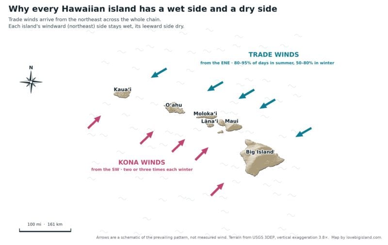 Relief map of the Hawaiian Islands showing trade winds arriving from the east-northeast and kona winds from the southwest.