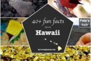 Big island hawaii, trivia, things to know, factosheet