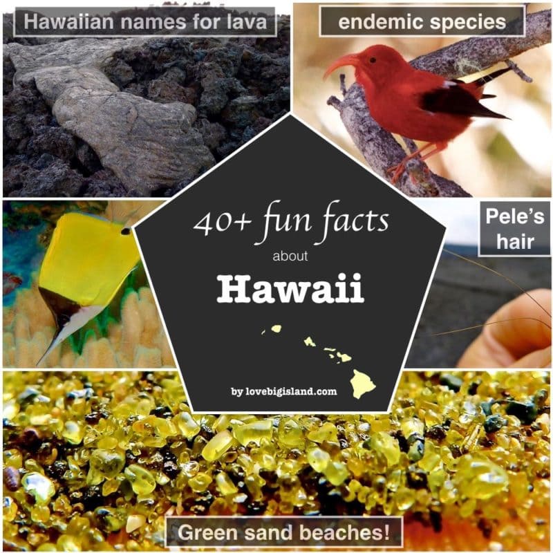 Big island hawaii, trivia, things to know, factosheet