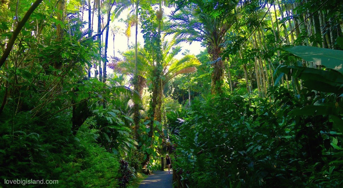 Хавайски тропически градини хило член на американското градинарско общество